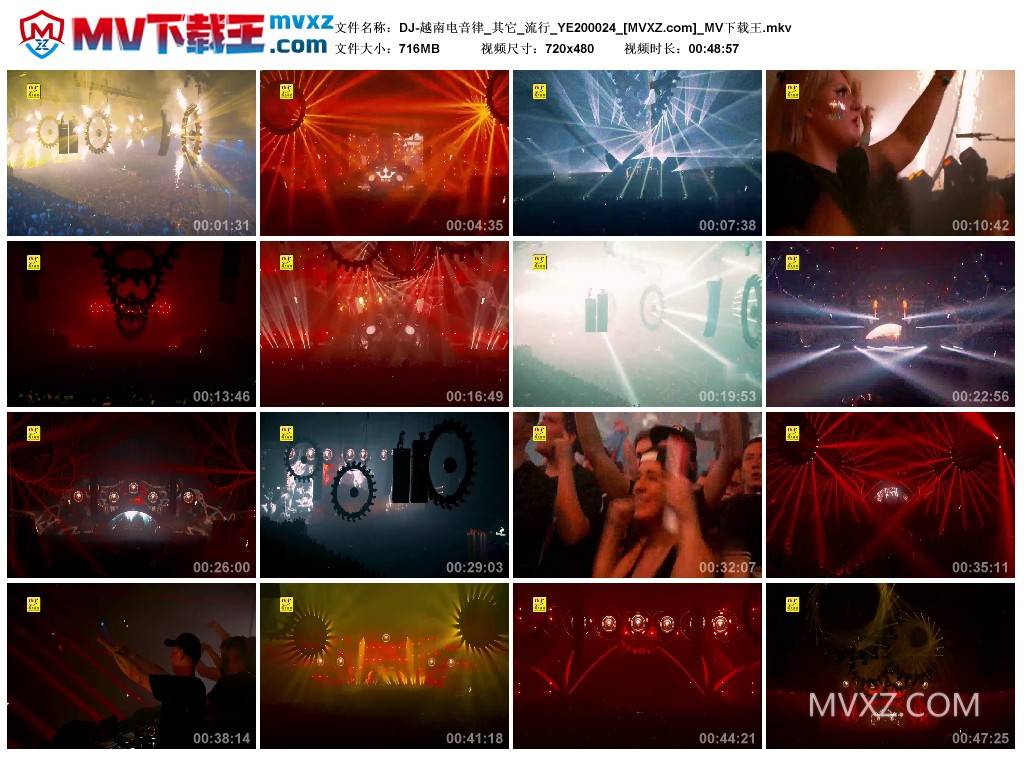 DJ-越南电音律_其它_流行_YE200024